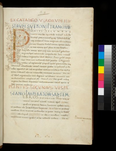 Pani 394,1. Pliniusz Starszy, Historia naturalis, f.1r. Iluminowany inicjał [P] z białą dekoracją pnącza (nieukończony), Neapol, poł. XV w., ok. 1442 (pergamin) autorstwa Neapolitan School