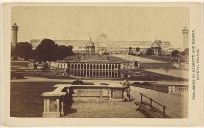 [Długi widok z zewnątrz na budynek i teren The Crystal Palace]. autorstwa Negretti and Zambra