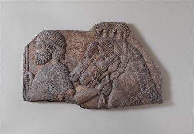 Obcy pan młody w procesji z dopływami, ok. 721-05 p.n.e. (alabaster gipsowy) autorstwa Neo Assyrian Neo Assyrian