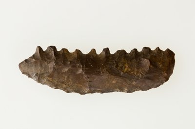 Sierp dwutwarzowy, c.4500-4000 pne (krzemień) autorstwa Neolithic Neolithic