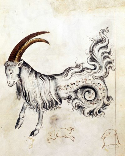 Sloane 3983, f.3v Znak zodiaku Koziorożec (welum) autorstwa Netherlandish School