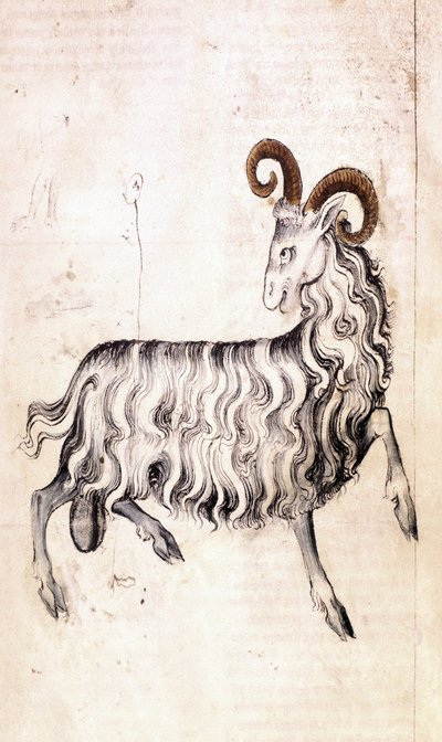 Sloane 3983 f3v Znak zodiaku Koziorożec (welum) autorstwa Netherlandish School
