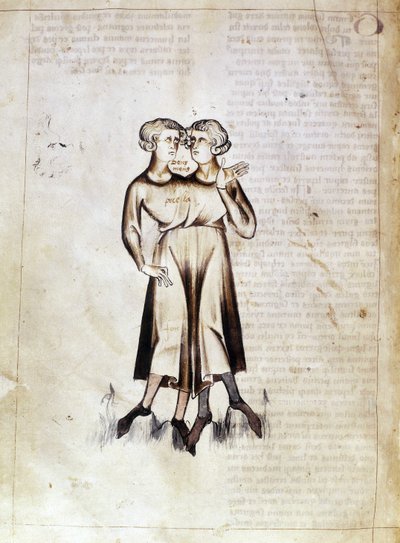 Sloane 3983 f.8v Rysunek Bliźniąt, z tłumaczenia perskiego traktatu astrologicznego Jafara ibn Muhammada (welum) autorstwa Netherlandish School