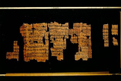 Fragmenty dokumentu zawierającego czyny faraona Totmesa III (papirus) autorstwa New Kingdom Egyptian