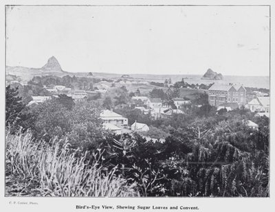 New Plymouth, Nowa Zelandia: widok z lotu ptaka, bochenki cukru i klasztor (zdjęcie czarno-białe) autorstwa New Zealand Photographer