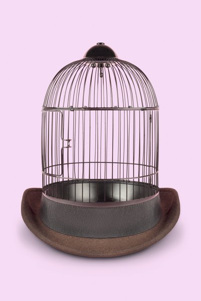Mental Cage, 2020 (zdjęcie) autorstwa Niccolò Fioriti