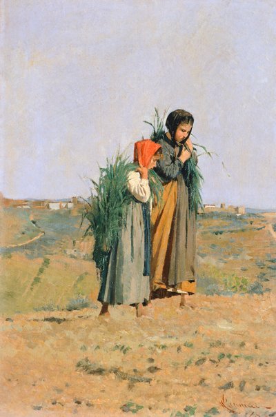Erbaiole autorstwa Niccolo Cannicci
