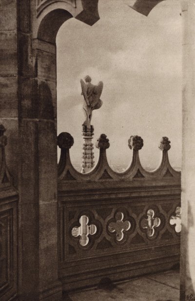 Spojrzenie z Duomo, Mediolan (zdjęcie czarno-białe) autorstwa Nichol Elliot