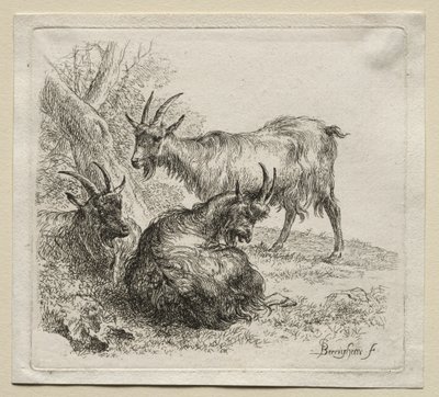 Animalia: trzy kozy autorstwa Nicolaes Berchem