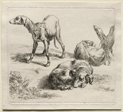 Animalia: trzy psy myśliwskie autorstwa Nicolaes Berchem