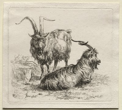 Animalia: Dwie Kozy autorstwa Nicolaes Berchem