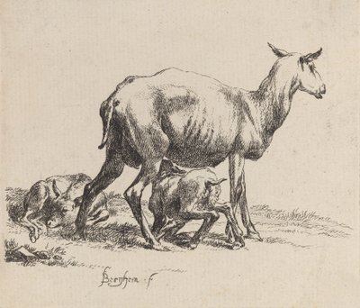 Ewe karmiąca swoją owieczkę. autorstwa Nicolaes Berchem