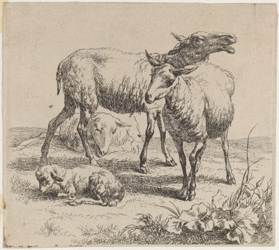 Trzy owce i baranek. autorstwa Nicolaes Berchem