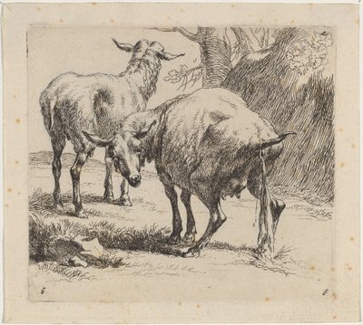 Dwie owce, jedna sika. autorstwa Nicolaes Berchem