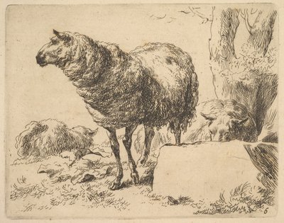 z Zestawu owiec. autorstwa Nicolaes Berchem