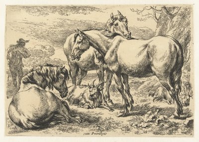 Trzy konie Zwierzęta (tytuł serii) autorstwa Nicolaes Pietersz Berchem