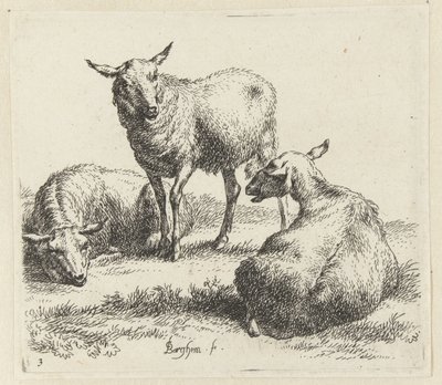 Osusz owce Schapen (tytuł serii) Zwierzęta ożywione i wydrukowane wodą na mocne powietrze przez Pracownię i Sztuka Nicolai Berchema (tytuł serii) autorstwa Nicolaes Pietersz Berchem