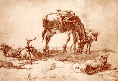 Pastwisko z osłem, kozą i owcami autorstwa Nicolaes Pietersz. Berchem