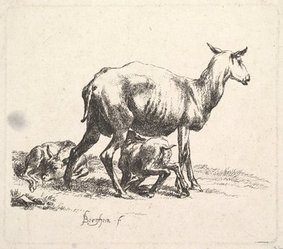 Owce z jagnięciną. autorstwa Nicolaes Pietersz. Berchem