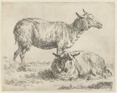 Staand en liggend schaap Schapen (tytuł serii) Zwierzęta ożywione i wydrukowane w wodzie mocnym powietrzem przez Pracownię i Sztuka Nicolai Berchem (tytuł serii) autorstwa Nicolaes Pietersz Berchem
