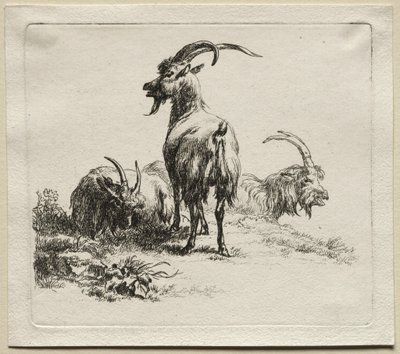 Trzy kozy. autorstwa Nicolaes Pietersz. Berchem