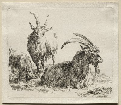 Trzy kozy. autorstwa Nicolaes Pietersz. Berchem