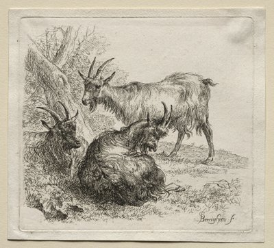 Trzy kozy. autorstwa Nicolaes Pietersz. Berchem
