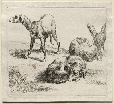 Trzy psy myśliwskie. autorstwa Nicolaes Pietersz. Berchem