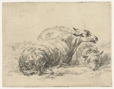 Twee ligende schapen Schapen (tytuł serii) Zwierzęta ożywione i wydrukowane wodą na mocne powietrze przez Pracownię i Sztuka Nicolai Berchema (tytuł serii) autorstwa Nicolaes Pietersz Berchem