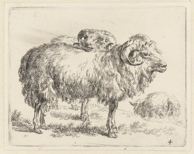 Twee rammen en een schaap Schapen (tytuł serii) Zwierzęta ożywione i wydrukowane w wodzie mocnym powietrzem przez Pracownię i Sztuka Nicolai Berchem (tytuł serii) autorstwa Nicolaes Pietersz Berchem