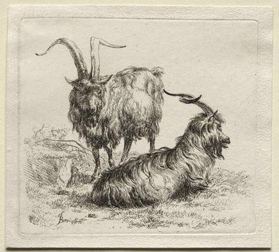Dwie kozy. autorstwa Nicolaes Pietersz. Berchem