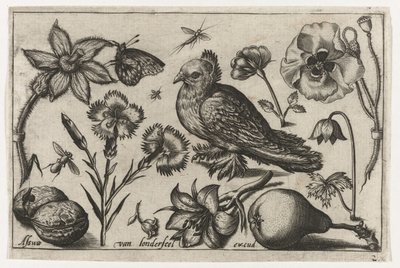 Kwiaty, gruszka i gołąb Ptaki, kwiaty, owady itp. (tytuł serii) autorstwa Nicolaes de Bruyn (possibly)