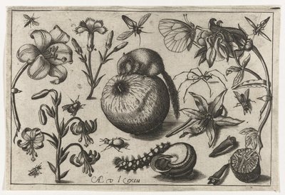 Kwiaty i mysz na jabłku Ptaki, kwiaty, owady itp. (tytuł serii) autorstwa Nicolaes de Bruyn (possibly)