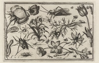 Kwiaty i owady Ptaki, kwiaty, owady itp. (tytuł serii) autorstwa Nicolaes de Bruyn (possibly)