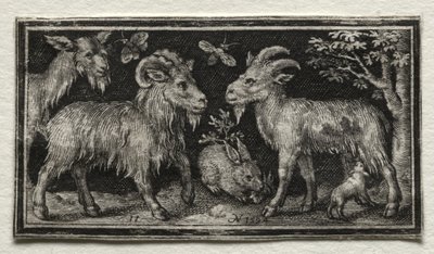 Kozy i Zając autorstwa Nicolaes de Bruyn