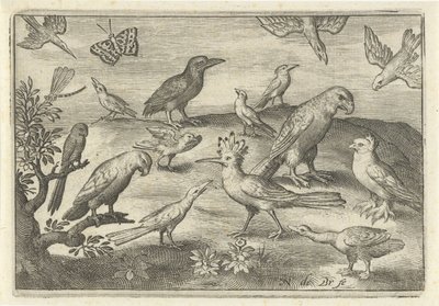 Chmiel i inne ptaki Ptaki i owady (tytuł serii) autorstwa Nicolaes de Bruyn