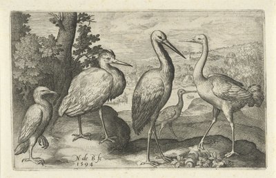 Bocian, żuraw, czapla i warzęcha Ptaki i owady (tytuł serii) autorstwa Nicolaes de Bruyn