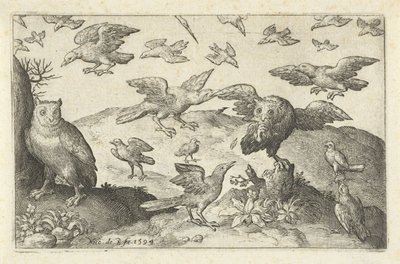 Sowa z łupem, na który polują inne ptaki Ptaki i owady (tytuł serii) autorstwa Nicolaes de Bruyn