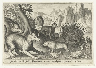 Dzik, lisy, bóbr, jeżozwierz i żaby Animalivm qvadrvpedvm (tytuł serii) Zwierzęta w krajobrazach (tytuł serii) autorstwa Nicolaes de Bruyn