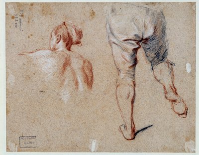 Studium anatomii Rysunek olejny Nicolasa Vleughelsa (1668-1737) XVIII-wieczny Paryż, Luwr autorstwa Nicolas Vleughels
