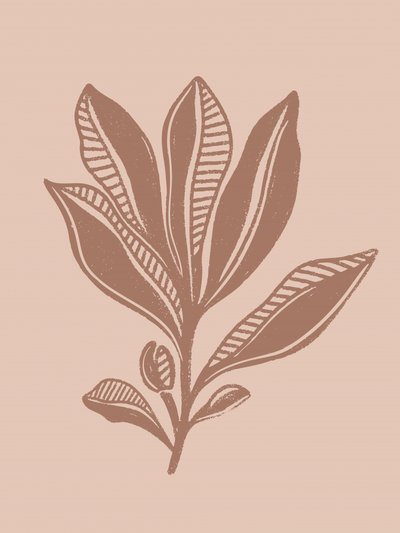 Naturalny rysunek botaniczny autorstwa Nikita Jariwala