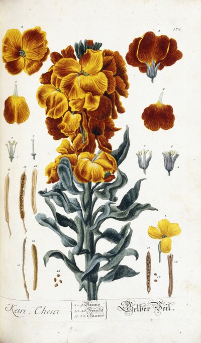 Lak autorstwa Nikolaus Friedrich Eisenberger
