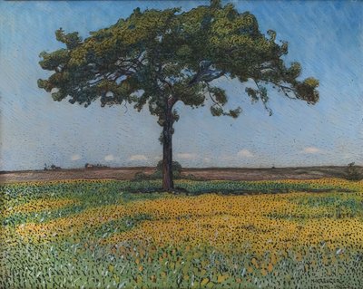 Młody dąb autorstwa Nils Kreuger