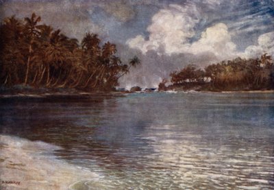 By Reef and Palm (kolor lito) autorstwa Norman Hardy
