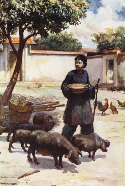 Chiny: dziedziniec (kolor lito) autorstwa Norman Hardy
