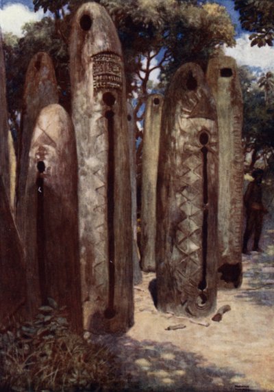 Drum Grove w Mele, Nowe Hebrydy (kolor lito) autorstwa Norman Hardy