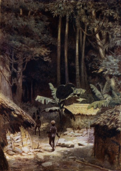 Na skraju prastarej puszczy, Wyspy Salomona (kolor lito) autorstwa Norman Hardy
