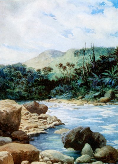 Krajobrazy w Eromanga, Nowe Hebrydy, 1908 autorstwa Norman Hardy