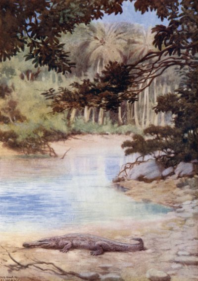 Ojczyzna krokodyla, Brytyjskie Wyspy Salomona (kolor lito) autorstwa Norman Hardy