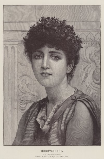 Wiciokrzew autorstwa Norman Prescott Davies